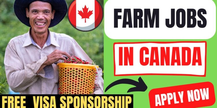 Farm Workers in Canada With Free Visa Sponsorship
