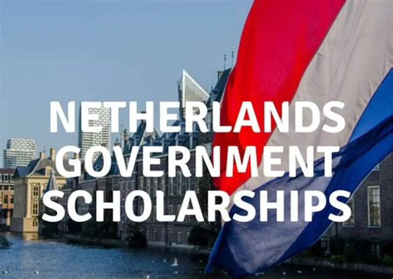 The Netherlands Has a Government-Funded Scholarship for Mid-Career Professionals from Developing Countries That Most Scholarship Guides Never Mention